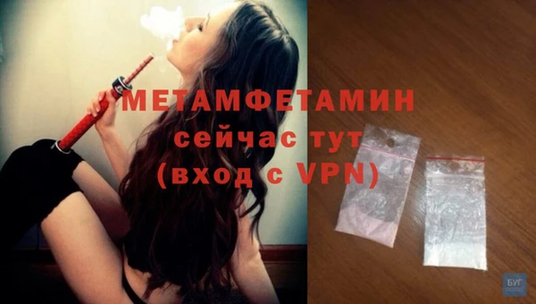 ГАЛЛЮЦИНОГЕННЫЕ ГРИБЫ Бородино