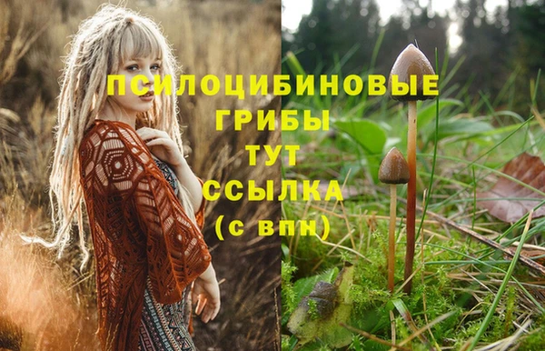 метадон Верея