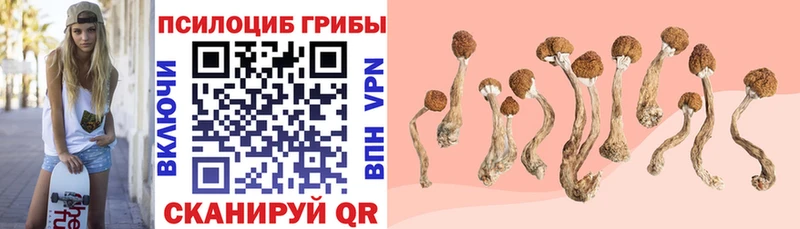 Галлюциногенные грибы GOLDEN TEACHER  Губкин 